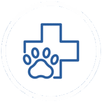 Medical cross symbol in blue representing healthcare