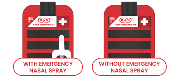 nasal spray kit