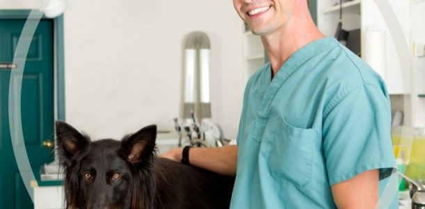 Veterinary Handling, Storage and Disposal of Controlled Substances