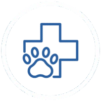 Medical cross symbol in blue representing healthcare
